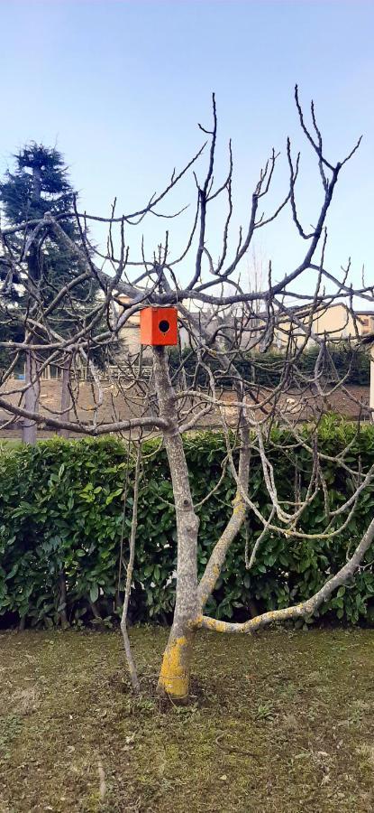 B&B Dimora Dei Folletti Monzuno Εξωτερικό φωτογραφία